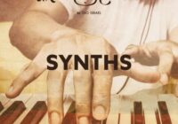 Gio Israel Middle East Essentials Synths WAV MIDI