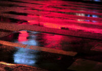 Nightlife Sample Pack WAV