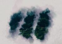 SM White Label Organic Ambient WAV