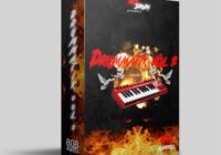 Red Drum Beatz Drummatik Vol.2 WAV