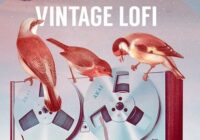 Reel to Reel - Vintage Lofi Sample Pack WAV MIDI