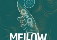 UJAM Virtual Bassist MELLOW v2.1.1 VST AAX [WIN]