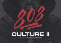 Stve Lawrence 808 Culture 2 WAV