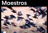 Splice Explores Bird Maestros WAV