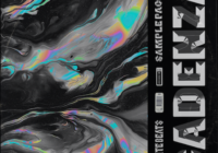 Exquisite Beats Cadenza Loop Kit WAV