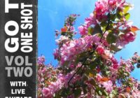 SHOE Go To One Shot Kit Vol.2 WAV