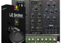 Le Skank v1.0 KONTAKT