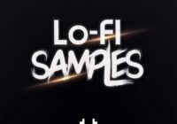 Lofi Samples