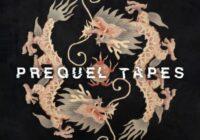 Sounds from the Dragon Room by Prequel Tapes WAV