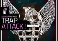 Trap Attack