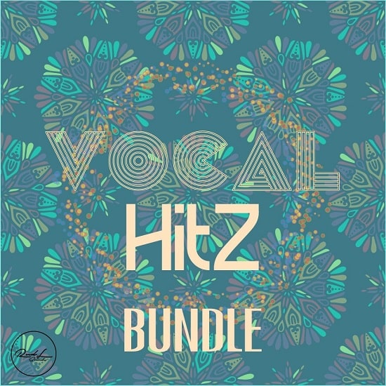Roundel Sounds Vocal Hits Bundle