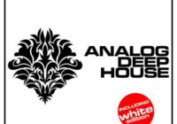 Plughugger Diva Analog Deep House