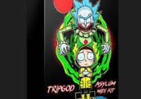 TRIPGOD Asylum (Midi Kit)