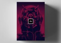 Avalon Loop Kit