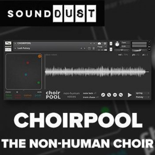 DUST CHOIRPOOL