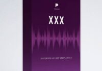 Prodigye XXX - Distorted Hip Hop Sample Pack
