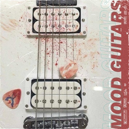 Cartel Loops Mood Guitars WAV