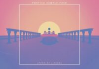 Samplified Poetica (Hip Hop & Neo Soul Sample Pack)