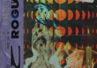 Cartel Loops Rogue WAV