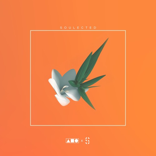 Squadpack x Samplified Soulected (Hip Hop - Soul Sample Pack)