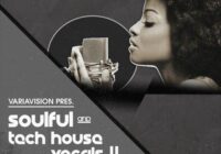 Bingoshakerz Soulful & Tech House Vocals 4 WAV