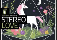 Stereo Love