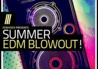 Summer EDM Blowout WAV MIDI