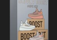 TRIPGOD Supply Boost (Midi Kit)