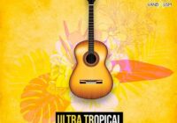 Ultra Tropical House Guitars WAV