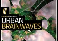 Zenhiser Urban Brainwaves