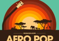 Afro Pop Volume 1
