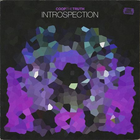 INTROSPECTION One Shots Sample Pack WAV