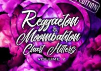 Equinox Sounds Reggaeton & Moombahton Chart Hitters Vol.1 WAV MIDI