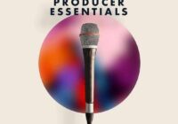 Samplified Producer Essentials {10 Sample Pack)