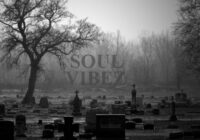 Soul Vibez