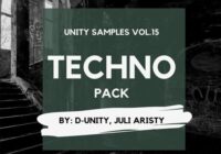 Unity Samples Vol.15 by D-Unity, Juli Airisty WAV