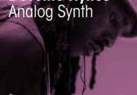 Devonte Hynes Analog Synth