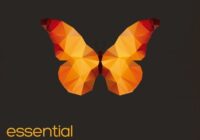 Producer Loops Essential Progressive House Vol 02 WAV
