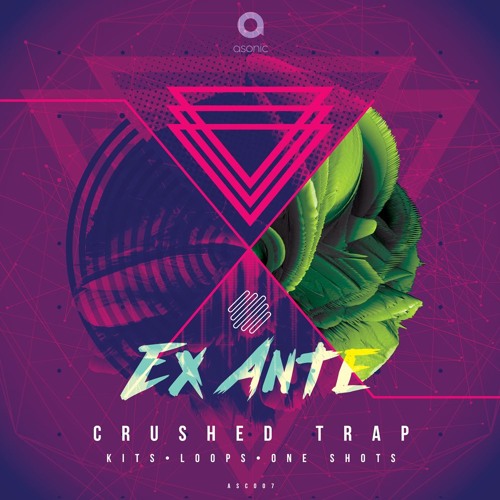  Ex Ante
