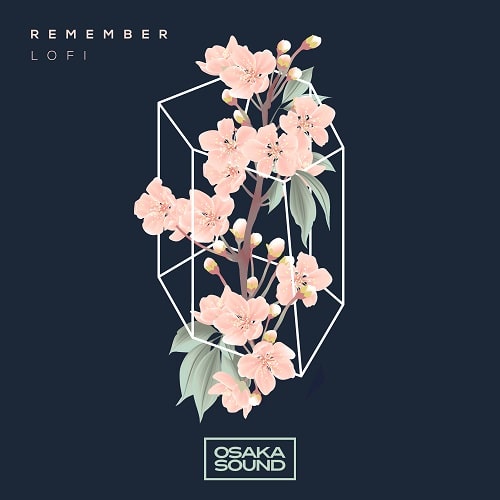 Remember - Lofi Sample Pack WAV