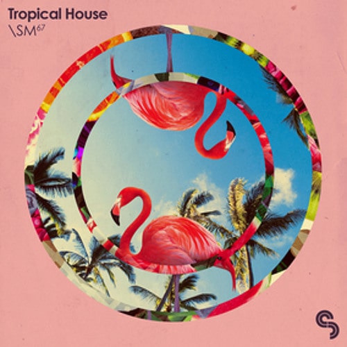 SM67 Tropical House MULTIFORMAT