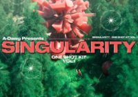 WavSupply A-Dawg Singularity Vol.1 (One Shot Kit) WAV
