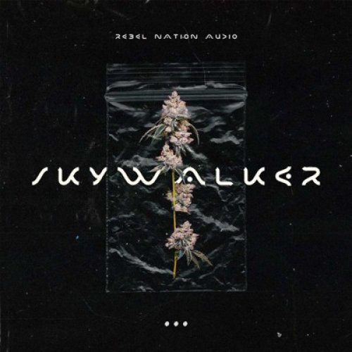 Skywalker 