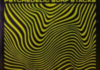 Slow Daze Psychedelic Surf Stacks