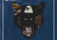 Field & Foley Animal Sounds WAV