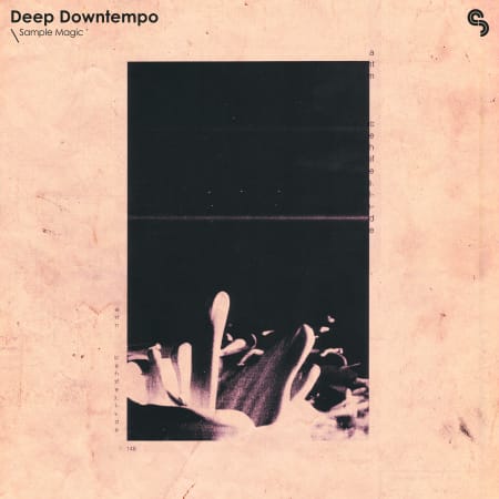 SM Deep Downtempo WAV MiIDI