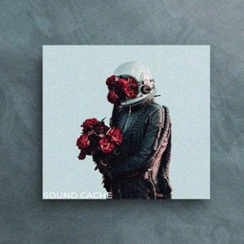 Mxrio and Hxxx Dragonfly (Loop Kit) WAV