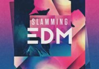 Slamming EDM MULTIFORMAT