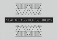 Slap & Bass House Drops