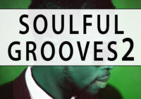 Soulful Grooves 2